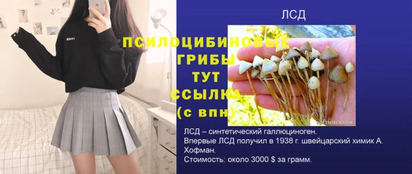меф Арсеньев