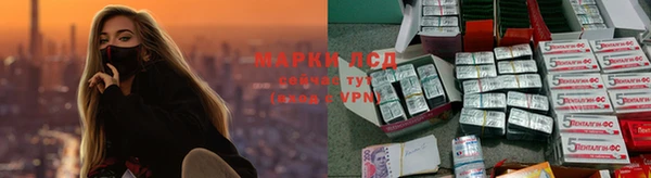 тгк Аркадак