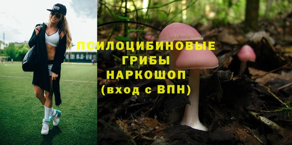 тгк Аркадак