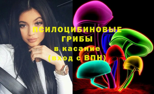 тгк Аркадак