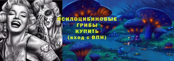 меф Арсеньев